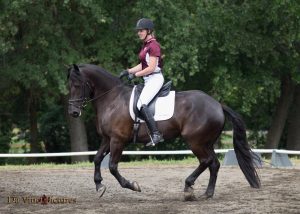 For twenty-five years, Ironwood has been recognized as a premier Sacramento horse boarding and training facility. A trusted and nurturing community, we're dedicated to the support and growth of our riders and their beloved horses.