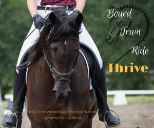 For twenty-five years, Ironwood has been recognized as a premier Sacramento horse boarding and training facility. A trusted and nurturing community, we're dedicated to the support and growth of our riders and their beloved horses.